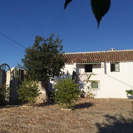 Affittacamere Casa del Almezo Almodóvar del Río Esterno foto