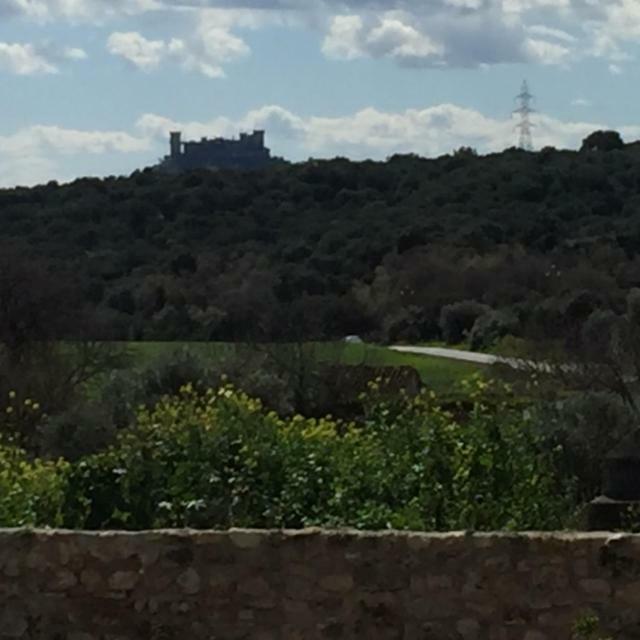 Affittacamere Casa del Almezo Almodóvar del Río Esterno foto